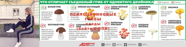 трава Абаза