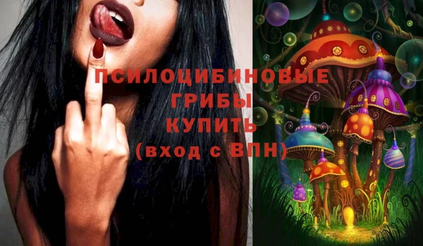 трава Абаза