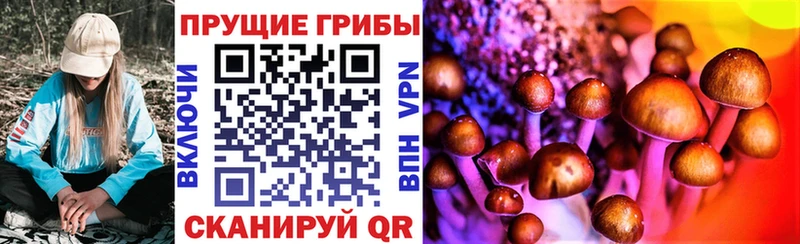 omg онион  Алдан  Галлюциногенные грибы прущие грибы 